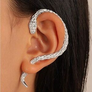 Silver Snake Climber Earrings
